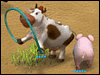 Look at screenshot of Farm Frenzy 2