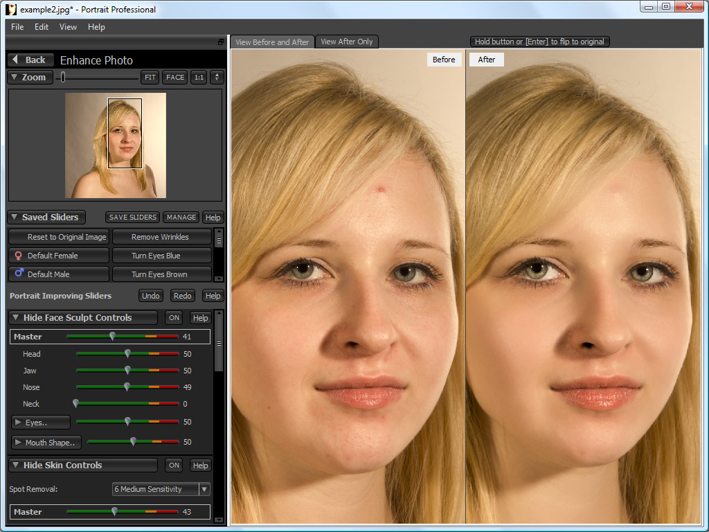 portrait professional free download with crack