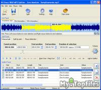 Look at screenshot of Direct WAV MP3 Splitter