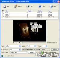 Look at screenshot of Boilsoft DVD Ripper