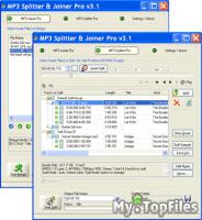 Look at screenshot of MP3 Splitter & Joiner Pro