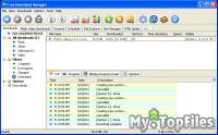 Look at screenshot of Free Download Manager