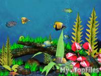 Look at screenshot of Fish Aquarium 3D Screensaver