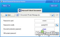 Look at screenshot of Word Password Recovery Master