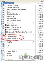 Look at screenshot of All To MP3 Converter