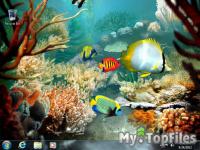 Look at screenshot of Tropical Fish 3D Screensaver