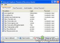 Look at screenshot of Internet Explorer Password Recovery Master