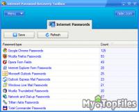 Look at screenshot of Internet Password Recovery Toolbox